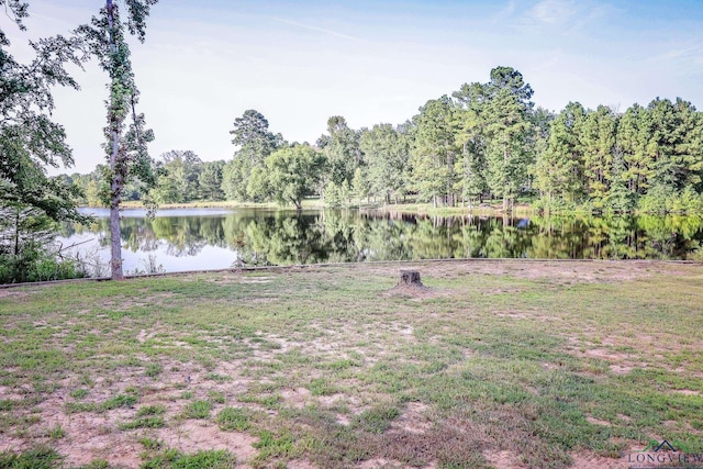 view of yard featuring a water view