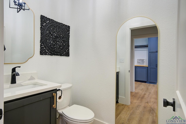 bathroom with toilet, vanity, and wood finished floors
