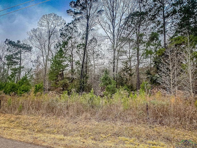 Listing photo 3 for LOT1 Maple Springs Rd, Hallsville TX 75650