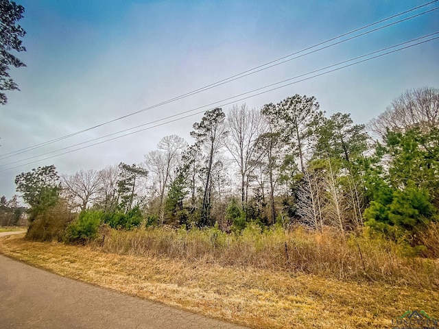 Listing photo 2 for LOT1 Maple Springs Rd, Hallsville TX 75650