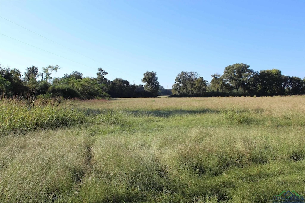 808 Joe Davis Rd, Jefferson, TX 75657 - photo 3