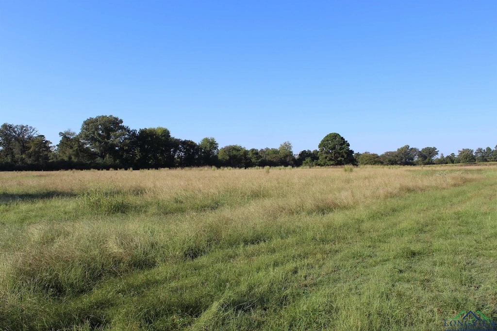 808 Joe Davis Rd, Jefferson, TX 75657 - photo 4