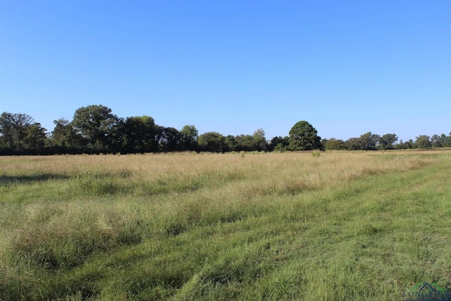 808 Joe Davis Rd, Jefferson, TX 75657 - photo 4