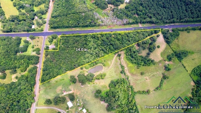 15180 N Fm 95, Mount Enterprise, TX 75681 - photo 2