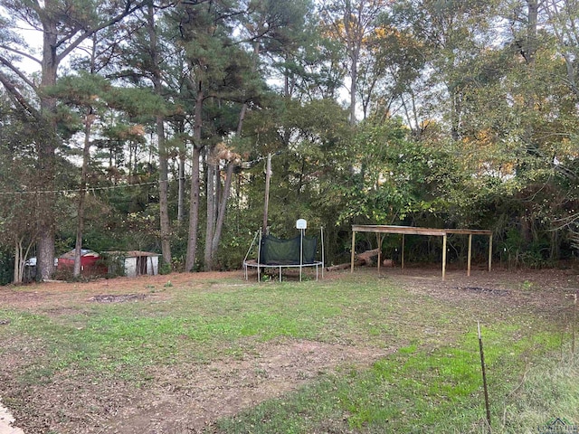 view of yard featuring a storage shed and a trampoline