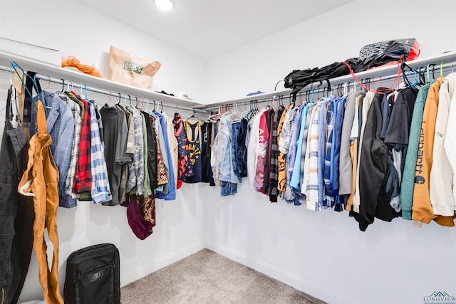 spacious closet with carpet