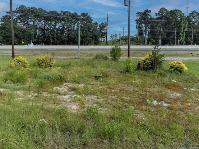 TBD N Perry St, Longview, TX 75602 - photo 12