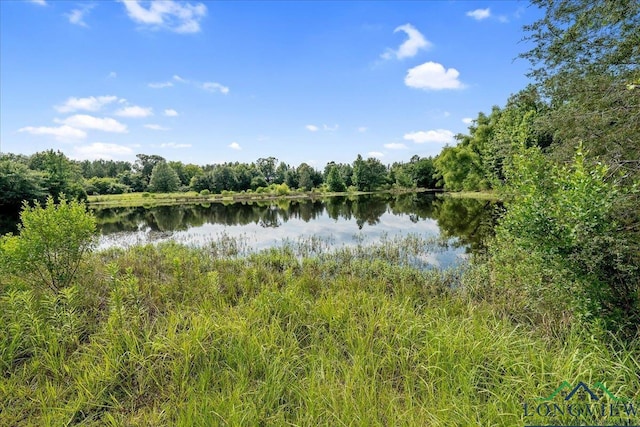 4313 S County Road 311, Henderson, TX 75654 - photo 33