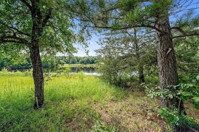 4313 S County Road 311, Henderson, TX 75654 - photo 31