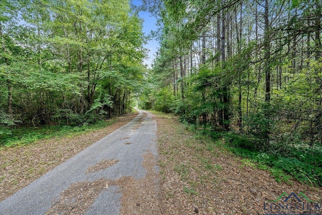 4313 S County Road 311, Henderson, TX 75654 - photo 32