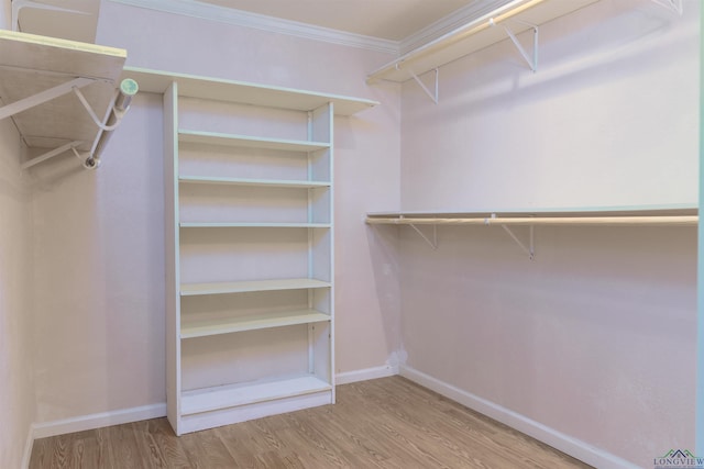 spacious closet with wood-type flooring