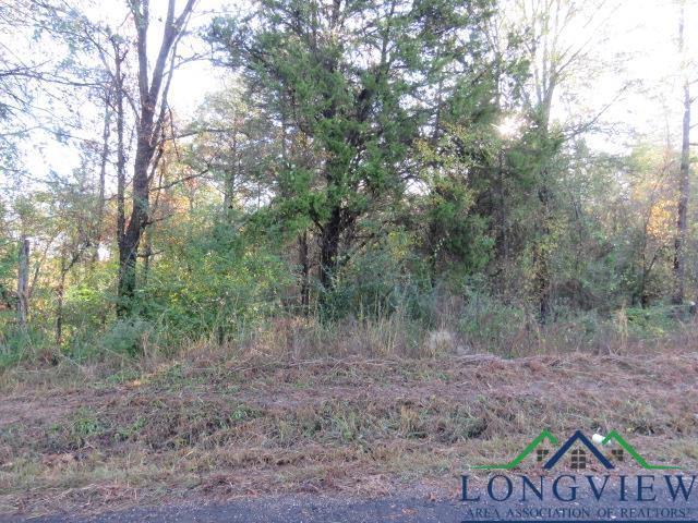 TBD Owl Rd, New Diana TX, 75604 land for sale