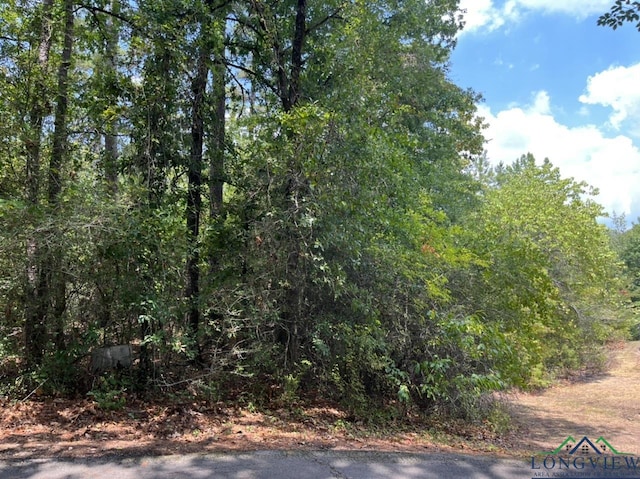 TBD Cliffside Path, Lot Holly Lake Ranch TX, 75765 land for sale