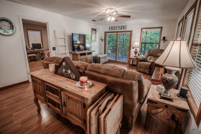 living room with ceiling fan and wood-type flooring