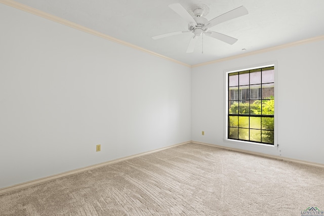 916 Bergstrom Pl, Marshall, TX 75672 - photo 36