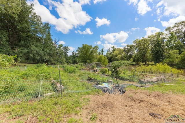 1076 Paw Paw Rd, Gilmer, TX 75645 - photo 42