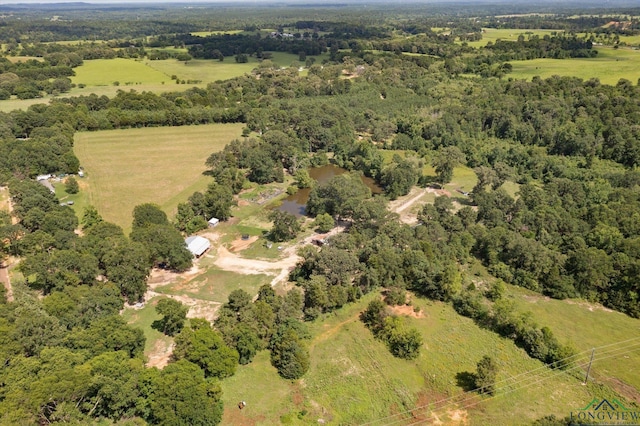 1076 Paw Paw Rd, Gilmer, TX 75645 - photo 44