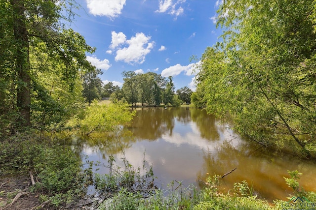 1076 Paw Paw Rd, Gilmer, TX 75645 - photo 39