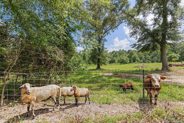 1076 Paw Paw Rd, Gilmer, TX 75645 - photo 43