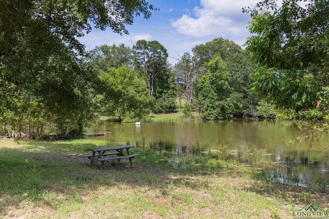 1076 Paw Paw Rd, Gilmer, TX 75645 - photo 38