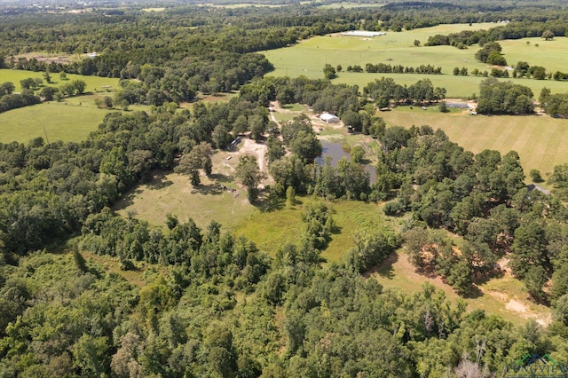 1076 Paw Paw Rd, Gilmer, TX 75645 - photo 45