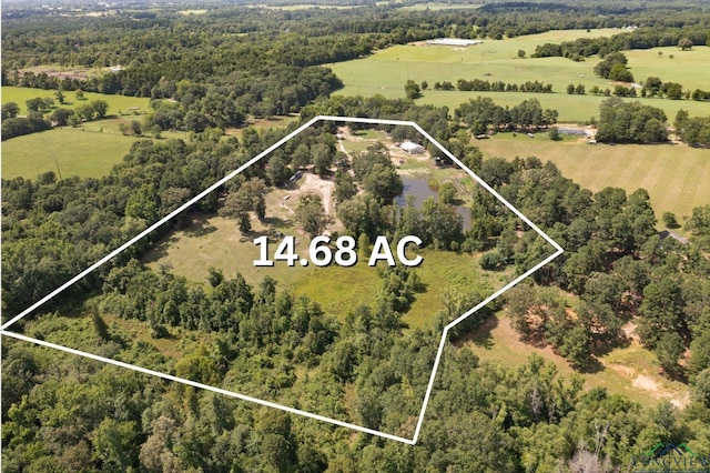 1076 Paw Paw Rd, Gilmer, TX 75645 - photo 46