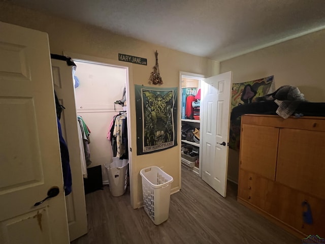 interior space featuring hardwood / wood-style flooring, a walk in closet, and a closet