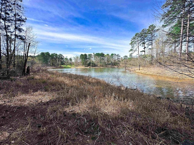 120 Louisiana St, Avinger, TX 75630 - property view of water