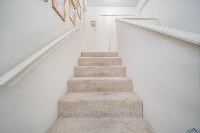 stairway featuring carpet flooring