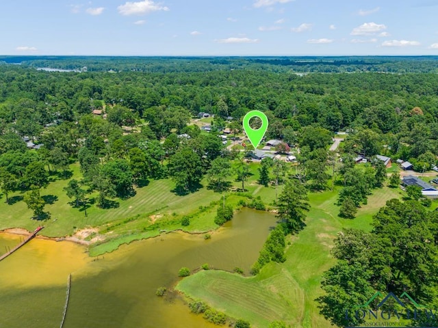620 Shadywood Ln, Avinger, TX 75630 - aerial view of a large body of water