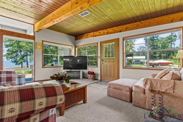620 Shadywood Ln, Avinger, TX 75630 - living room with carpet flooring, healthy amount of natural light, and a wood ceiling with exposed beams