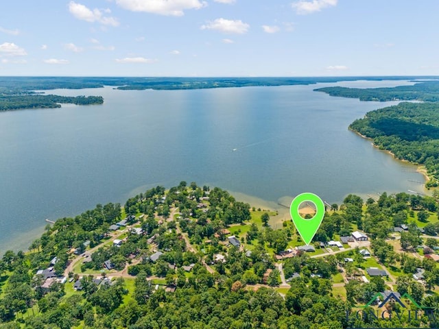 620 Shadywood Ln, Avinger, TX 75630 - drone / aerial view of a large body of water