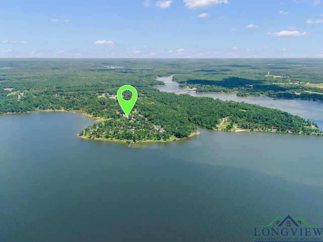 620 Shadywood Ln, Avinger, TX 75630 - drone / aerial view of a heavily wooded area and a large body of water