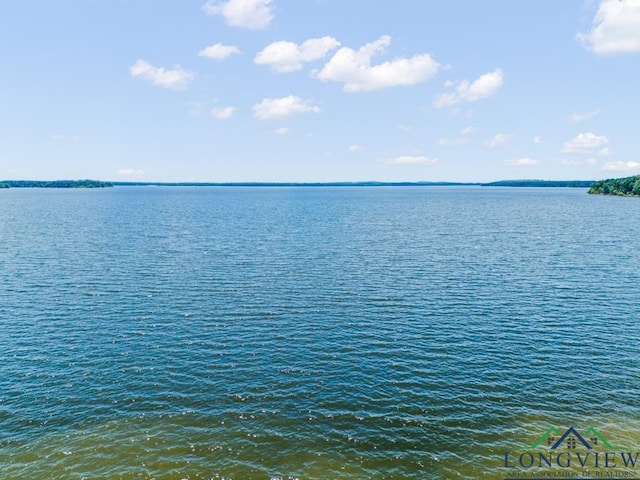 620 Shadywood Ln, Avinger, TX 75630 - water view