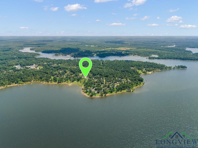620 Shadywood Ln, Avinger, TX 75630 - bird's eye view of a nearby body of water and a forest