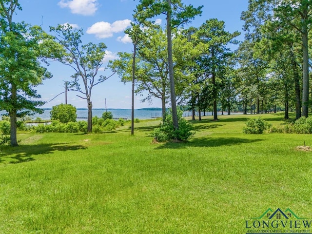 620 Shadywood Ln, Avinger, TX 75630 - view of green lawn featuring a water view