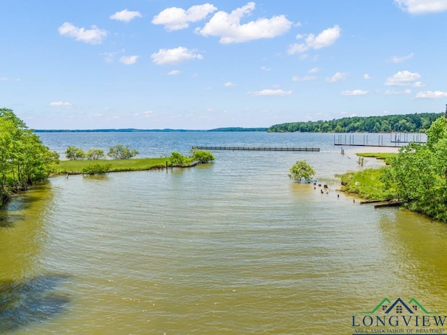 620 Shadywood Ln, Avinger, TX 75630 - water view
