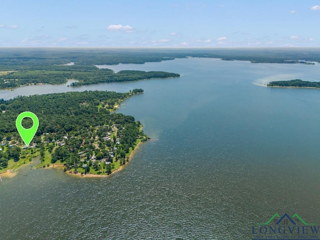 620 Shadywood Ln, Avinger, TX 75630 - aerial view of a nearby body of water