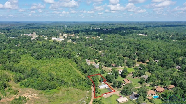 110 Mockingbird Ln, Linden, TX 75563 - aerial view of property's location featuring a forest and property boundaries highlighted