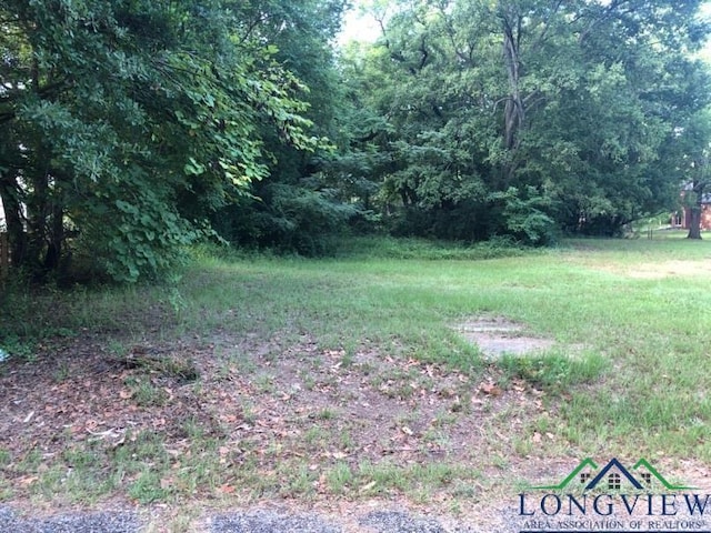 706 Roosevelt St, Longview TX, 75601 land for sale