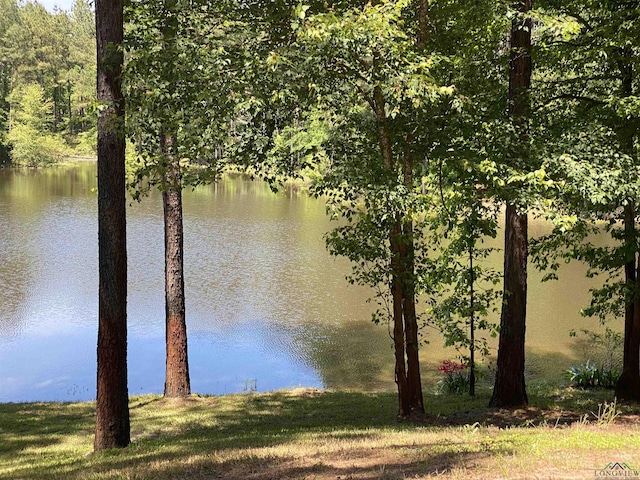1355 Snapdragon Rd, Diana, TX 75640 - water view
