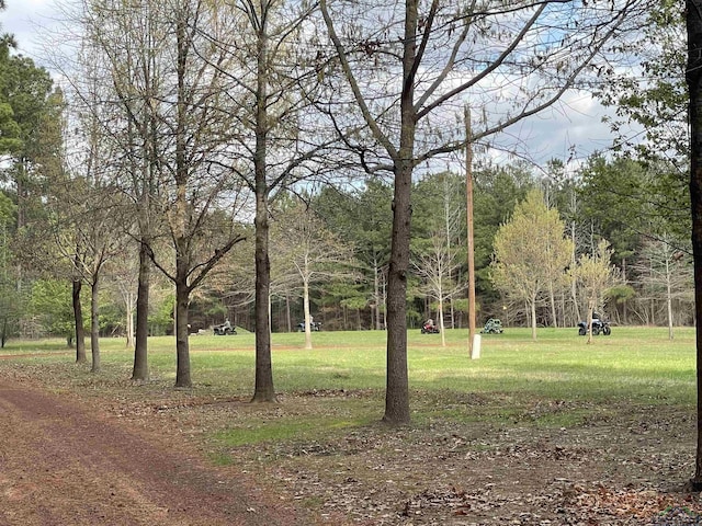 1355 Snapdragon Rd, Diana, TX 75640 - view of community with a lawn