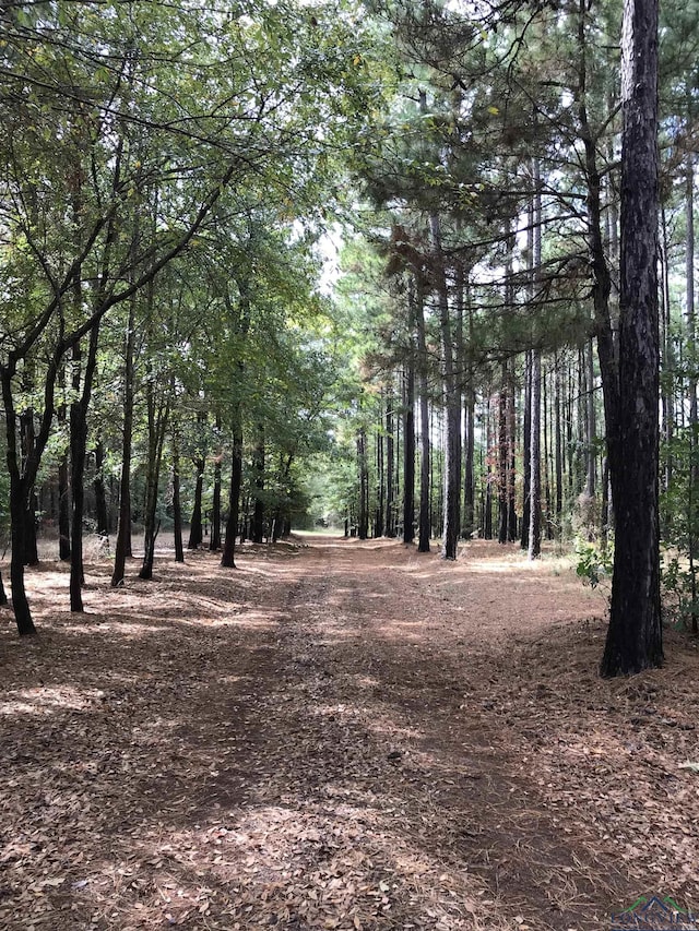 1355 Snapdragon Rd, Diana, TX 75640 - view of local wilderness featuring a forest view