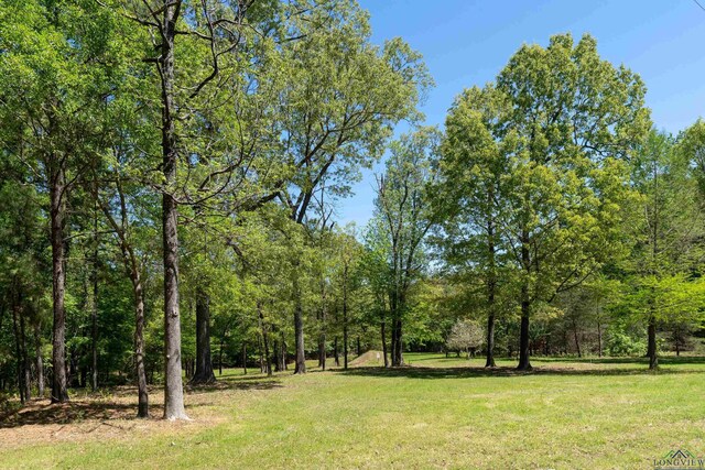 1355 Snapdragon Rd, Diana, TX 75640 - photo 26