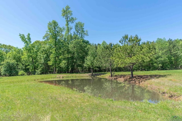 1355 Snapdragon Rd, Diana, TX 75640 - exterior space featuring a wooded view and a water view