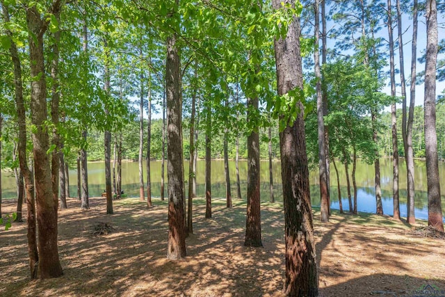 1355 Snapdragon Rd, Diana, TX 75640 - view of water feature