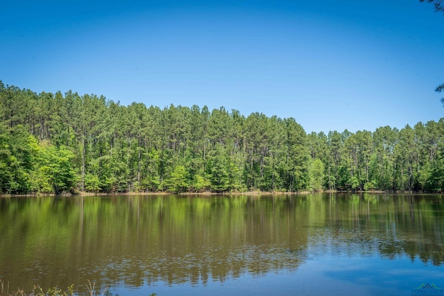1355 Snapdragon Rd, Diana, TX 75640 - property view of water featuring a view of trees