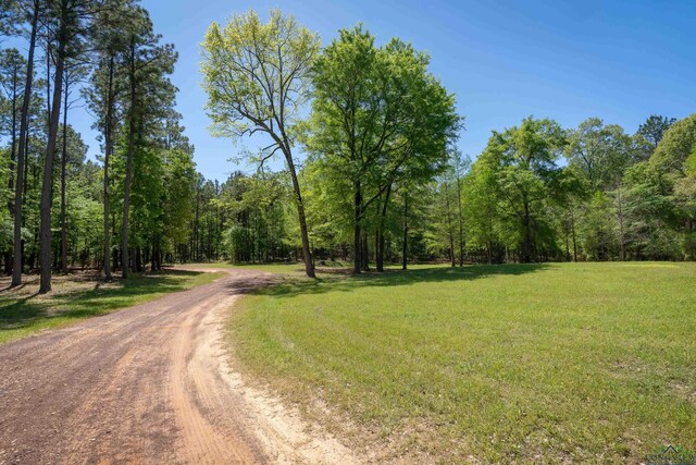 1355 Snapdragon Rd, Diana, TX 75640 - photo 28