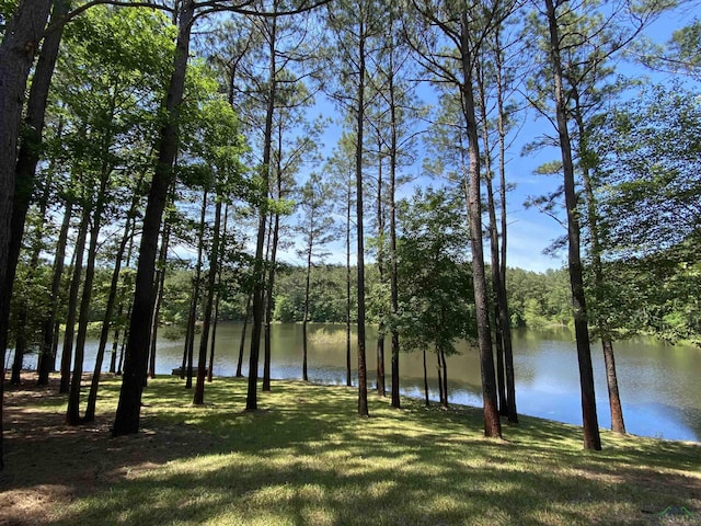 1355 Snapdragon Rd, Diana, TX 75640 - view of water feature
