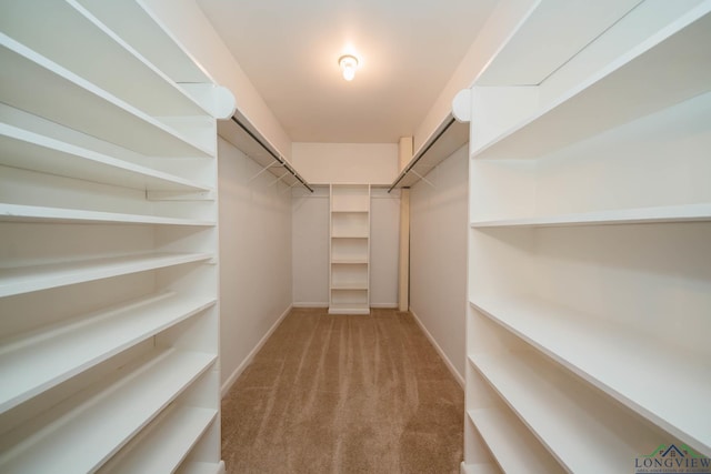 walk in closet with carpet flooring